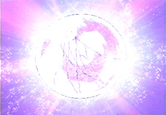 shikon_split.jpg
